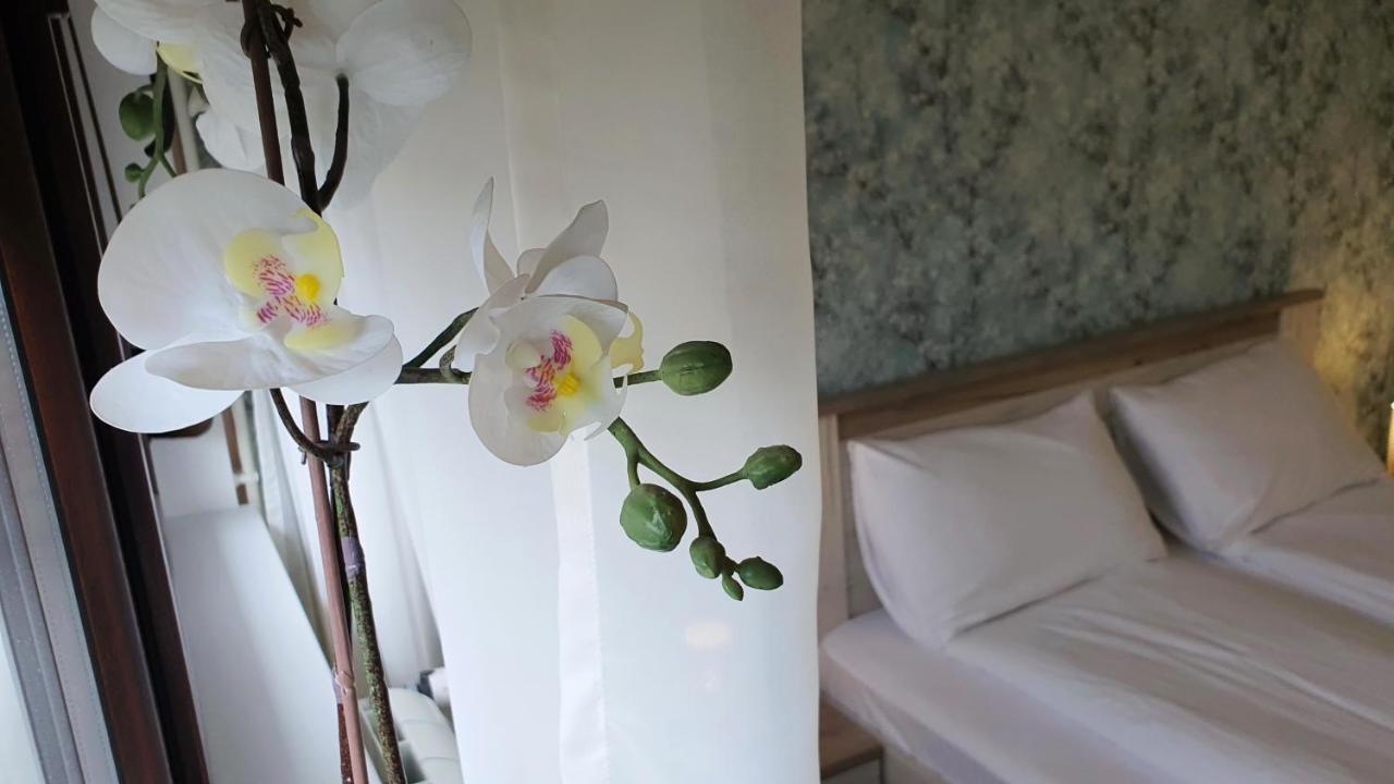 Apartments Spring Cacak Ngoại thất bức ảnh